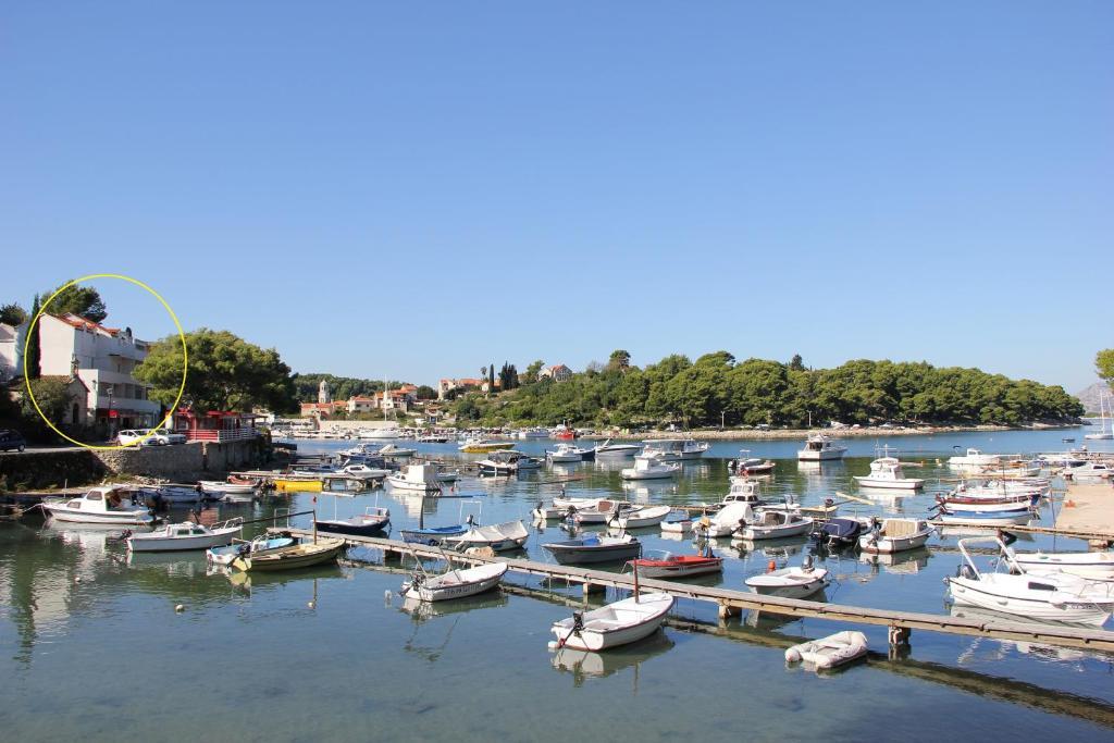 Vanda Seafront Superior Lejlighed Cavtat Eksteriør billede